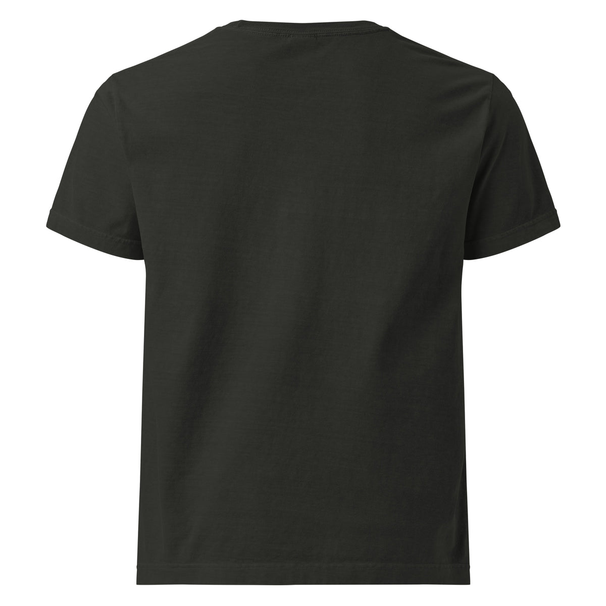 Official Cookie Tester graphic T-shirt in washed black, back view