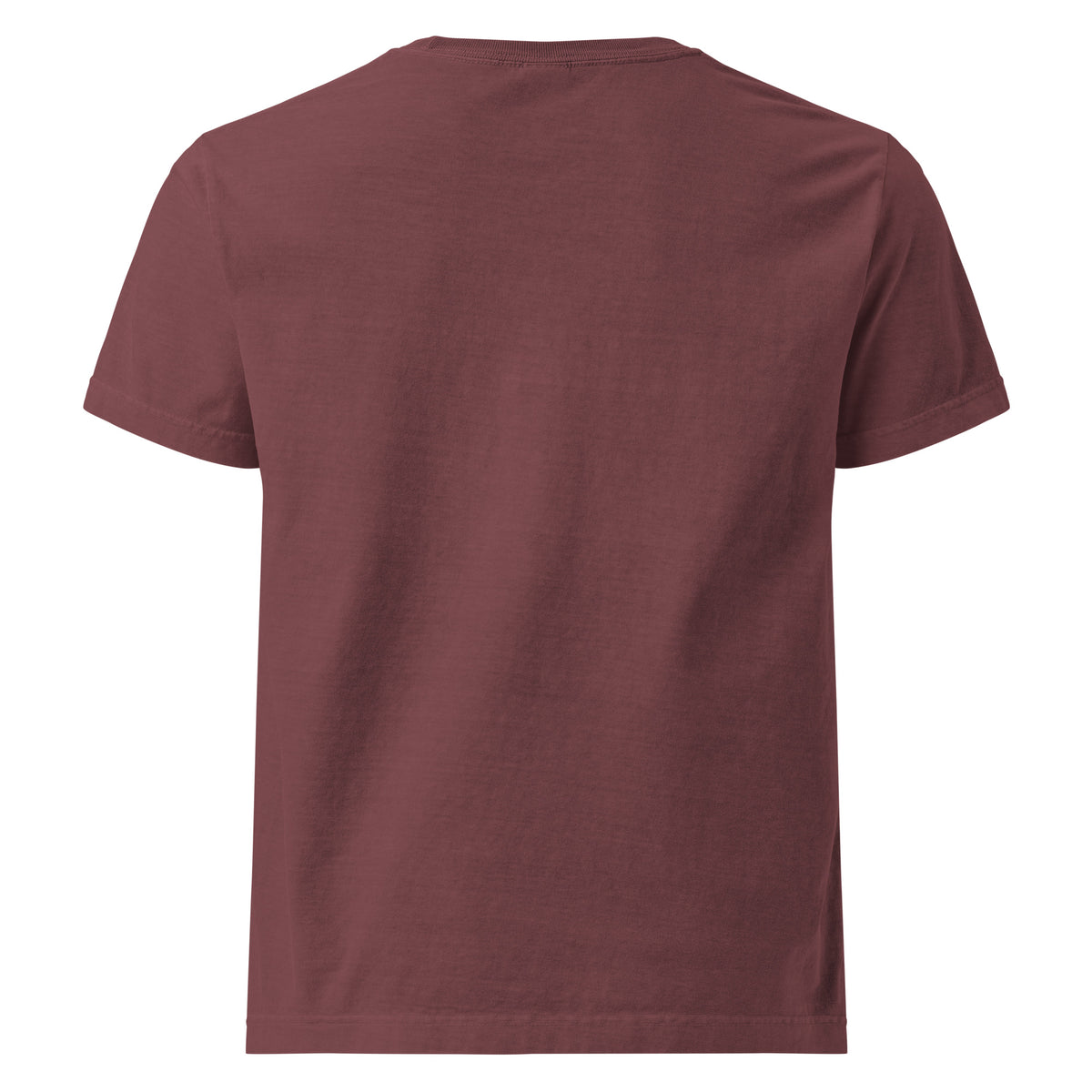 Official Cookie Tester graphic T-shirt in washed maroon, back view